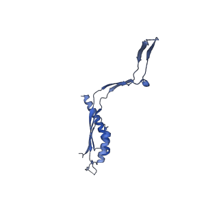 30612_7d84_c_v1-2
34-fold symmetry Salmonella S ring formed by full-length FliF