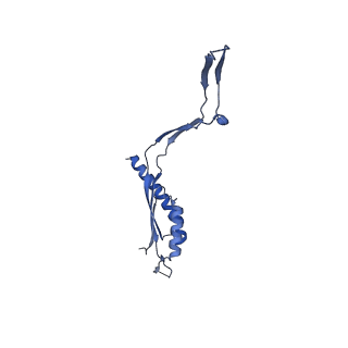 30612_7d84_d_v1-0
34-fold symmetry Salmonella S ring formed by full-length FliF