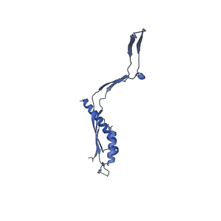 30612_7d84_d_v1-2
34-fold symmetry Salmonella S ring formed by full-length FliF