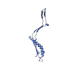 30612_7d84_e_v1-0
34-fold symmetry Salmonella S ring formed by full-length FliF