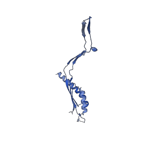 30612_7d84_e_v1-2
34-fold symmetry Salmonella S ring formed by full-length FliF