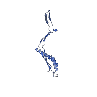 30612_7d84_f_v1-0
34-fold symmetry Salmonella S ring formed by full-length FliF