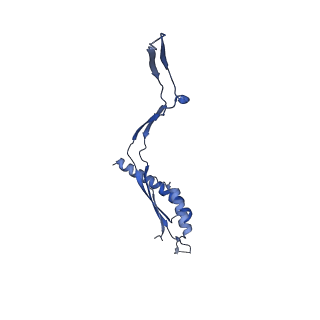 30612_7d84_f_v1-2
34-fold symmetry Salmonella S ring formed by full-length FliF