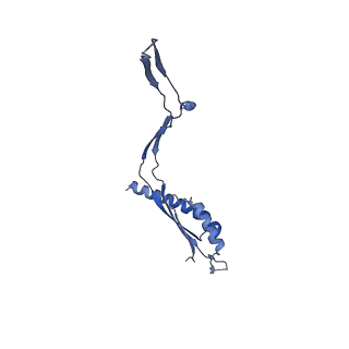 30612_7d84_g_v1-0
34-fold symmetry Salmonella S ring formed by full-length FliF