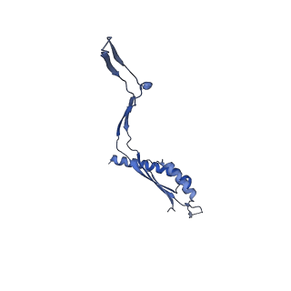 30612_7d84_h_v1-0
34-fold symmetry Salmonella S ring formed by full-length FliF
