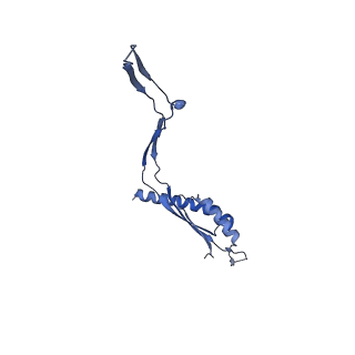 30612_7d84_h_v1-2
34-fold symmetry Salmonella S ring formed by full-length FliF