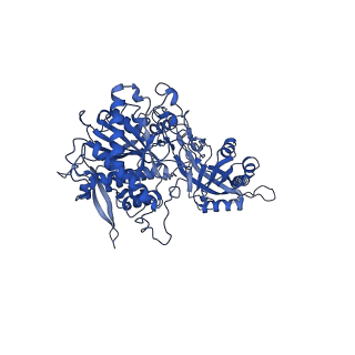 30614_7d8x_A_v1-0
CryoEM structure of human gamma-secretase in complex with E2012 and L685458