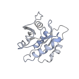 7453_6d83_C_v1-1
Structure of the cargo bound AP-1:Arf1:tetherin-Nef (L164A, L165A) dileucine mutant dimer monomeric subunit