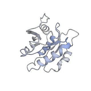 7453_6d83_C_v1-2
Structure of the cargo bound AP-1:Arf1:tetherin-Nef (L164A, L165A) dileucine mutant dimer monomeric subunit
