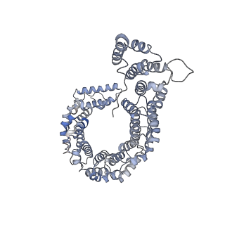 7453_6d83_G_v1-1
Structure of the cargo bound AP-1:Arf1:tetherin-Nef (L164A, L165A) dileucine mutant dimer monomeric subunit