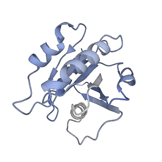 7453_6d83_H_v1-1
Structure of the cargo bound AP-1:Arf1:tetherin-Nef (L164A, L165A) dileucine mutant dimer monomeric subunit
