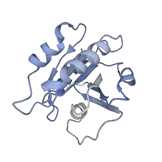 7453_6d83_H_v1-2
Structure of the cargo bound AP-1:Arf1:tetherin-Nef (L164A, L165A) dileucine mutant dimer monomeric subunit