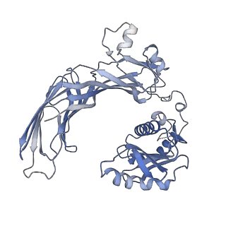 7453_6d83_M_v1-1
Structure of the cargo bound AP-1:Arf1:tetherin-Nef (L164A, L165A) dileucine mutant dimer monomeric subunit