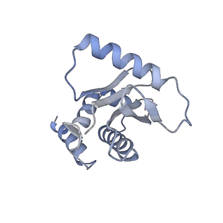 7453_6d83_S_v1-1
Structure of the cargo bound AP-1:Arf1:tetherin-Nef (L164A, L165A) dileucine mutant dimer monomeric subunit
