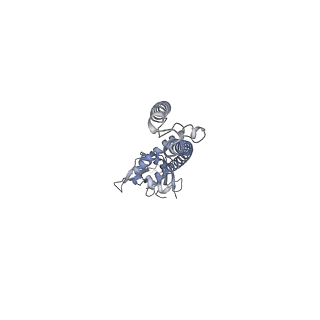 7828_6d80_A_v1-5
Cryo-EM structure of the mitochondrial calcium uniporter from N. fischeri bound to saposin
