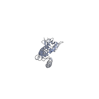 7828_6d80_C_v1-5
Cryo-EM structure of the mitochondrial calcium uniporter from N. fischeri bound to saposin