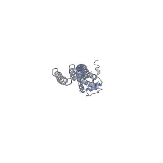7828_6d80_D_v1-5
Cryo-EM structure of the mitochondrial calcium uniporter from N. fischeri bound to saposin