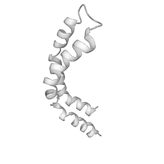 7828_6d80_J_v1-5
Cryo-EM structure of the mitochondrial calcium uniporter from N. fischeri bound to saposin