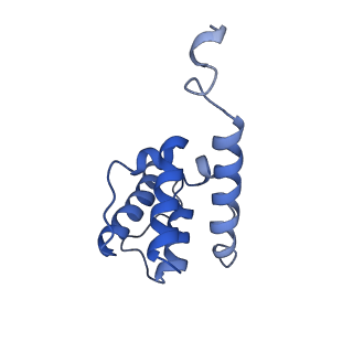 7831_6d8c_A_v1-2
Cryo-EM structure of FLNaABD E254K bound to phalloidin-stabilized F-actin