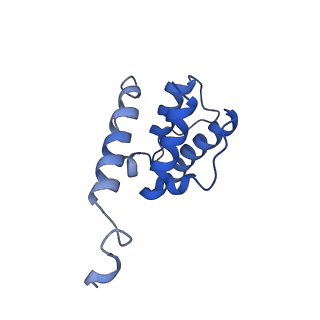 7831_6d8c_C_v1-2
Cryo-EM structure of FLNaABD E254K bound to phalloidin-stabilized F-actin