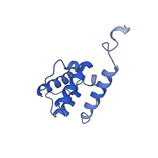 7831_6d8c_D_v1-2
Cryo-EM structure of FLNaABD E254K bound to phalloidin-stabilized F-actin