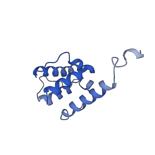 7831_6d8c_E_v1-2
Cryo-EM structure of FLNaABD E254K bound to phalloidin-stabilized F-actin
