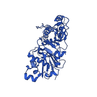 7831_6d8c_H_v1-2
Cryo-EM structure of FLNaABD E254K bound to phalloidin-stabilized F-actin