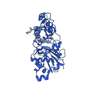 7831_6d8c_J_v1-2
Cryo-EM structure of FLNaABD E254K bound to phalloidin-stabilized F-actin