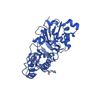 7831_6d8c_K_v1-2
Cryo-EM structure of FLNaABD E254K bound to phalloidin-stabilized F-actin