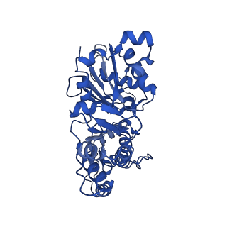 7831_6d8c_L_v1-2
Cryo-EM structure of FLNaABD E254K bound to phalloidin-stabilized F-actin