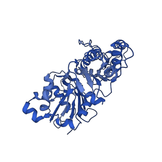 7831_6d8c_M_v1-2
Cryo-EM structure of FLNaABD E254K bound to phalloidin-stabilized F-actin