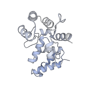 27256_8d96_B_v1-2
Human DNA polymerase alpha/primase elongation complex I bound to primer/template