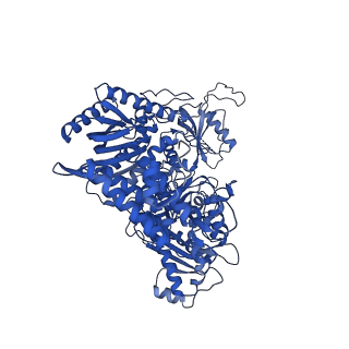 27256_8d96_C_v1-2
Human DNA polymerase alpha/primase elongation complex I bound to primer/template