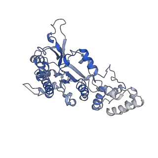27258_8d9d_A_v1-2
Human DNA polymerase-alpha/primase elongation complex II bound to primer/template