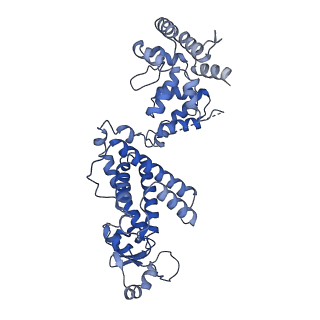 27258_8d9d_B_v1-2
Human DNA polymerase-alpha/primase elongation complex II bound to primer/template
