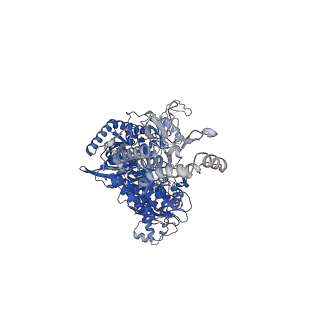 27258_8d9d_C_v1-2
Human DNA polymerase-alpha/primase elongation complex II bound to primer/template