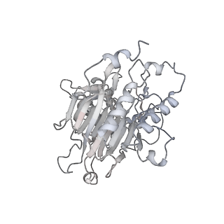 27258_8d9d_D_v1-2
Human DNA polymerase-alpha/primase elongation complex II bound to primer/template