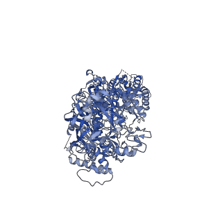 27261_8d9g_B_v1-0
gRAMP-TPR-CHAT Non match PFS target RNA(Craspase)