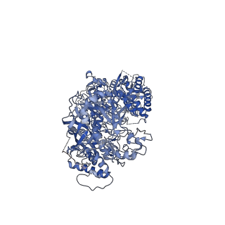 27262_8d9h_B_v1-0
gRAMP-TPR-CHAT match PFS target RNA(Craspase)