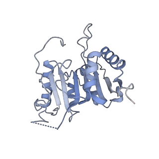 27265_8d9l_A_v1-1
CryoEM structure of human METTL1-WDR4 in complex with Lys-tRNA and SAM