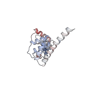 27269_8d9x_A_v1-3
Cryo-EM structure of human DELE1 in oligomeric form