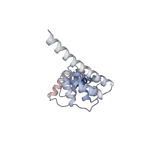 27269_8d9x_B_v1-3
Cryo-EM structure of human DELE1 in oligomeric form