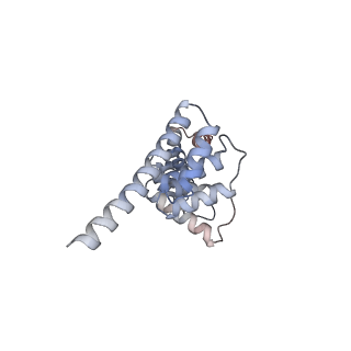 27269_8d9x_C_v1-3
Cryo-EM structure of human DELE1 in oligomeric form