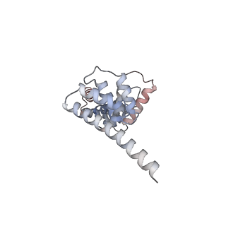 27269_8d9x_D_v1-3
Cryo-EM structure of human DELE1 in oligomeric form