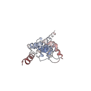 27269_8d9x_F_v1-3
Cryo-EM structure of human DELE1 in oligomeric form