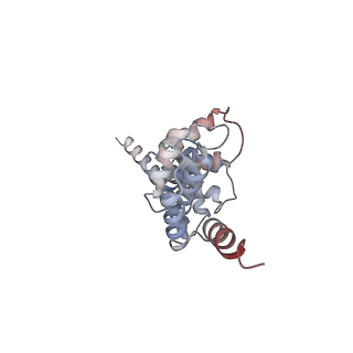 27269_8d9x_G_v1-3
Cryo-EM structure of human DELE1 in oligomeric form