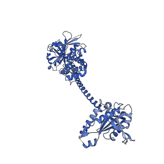 30621_7d9u_B_v1-1
Structure of human soluble guanylate cyclase in the cinciguat-bound activated state