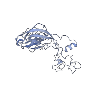 7834_6d90_A_v1-2
Mammalian 80S ribosome with a double translocated CrPV-IRES, P-site tRNA and eRF1.