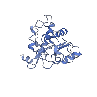 7834_6d90_BB_v1-2
Mammalian 80S ribosome with a double translocated CrPV-IRES, P-site tRNA and eRF1.