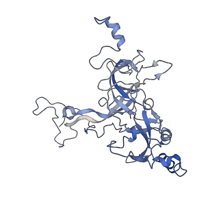 7834_6d90_B_v1-2
Mammalian 80S ribosome with a double translocated CrPV-IRES, P-site tRNA and eRF1.